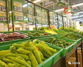 大沥7月食用农产品快检合格率达99.56%，食品药品监管视窗亮出好成绩