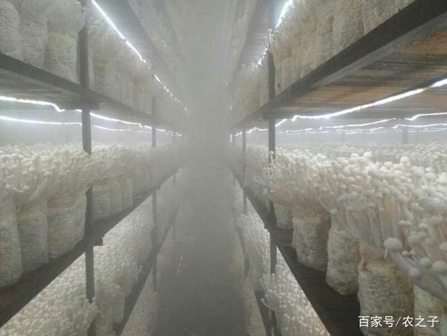 泰宁科技赋能